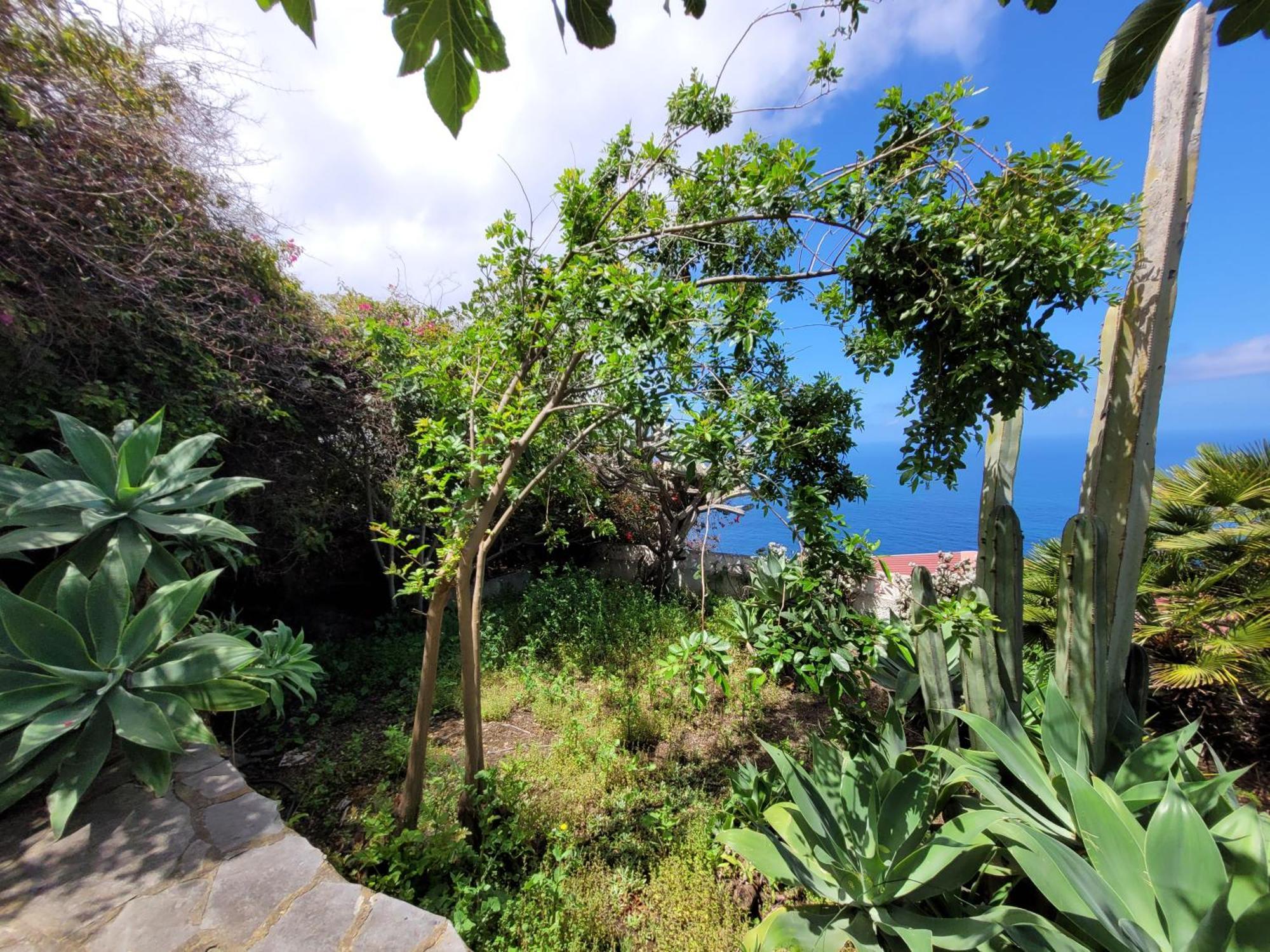 Willkommen im Paradies - Welcome in Paradise - Bienvenidos al paraíso La Matanza De Acentejo Exterior foto